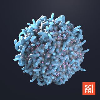 CAR-T Cell Therapy For Autoimmune Diseases | Measuring Early Life Adversity—In Marmots