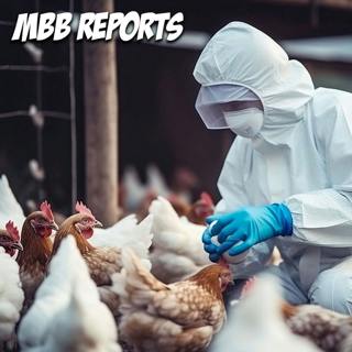 How Bird Flu Could Impact YOU: Virologist Explains the Risks, How to Protect Yourself, & Why Egg Prices are So High