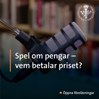 Spel om pengar – vem betalar priset?