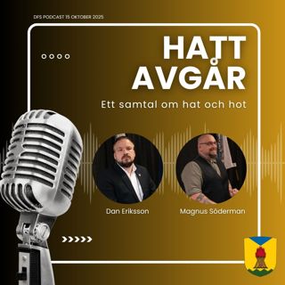 Anna-Karin Hatt avgår: Ett samtal om hat och hot