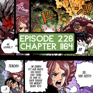 Episode 228: ONE PIECE Chapter 1164 Review, SBS 113 news, and One Piece ANIME Announcement!
