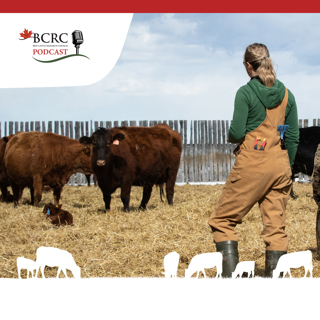 Episode 56: Responsible Antibiotic Use on Canadian Cow-Calf Operations