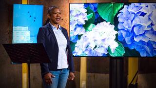 What gardening taught me about life | tobacco brown