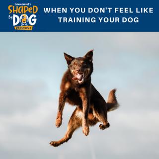 When You Don't Feel Like Training Your Dog #60