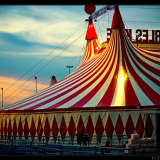 #218 When the Circus Came to Town