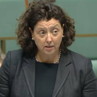Monique Ryan unmoved by Josh Frydenberg comeback chatter