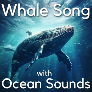 Natural Sounds - Relaxing Ocean Sounds with Whale Song