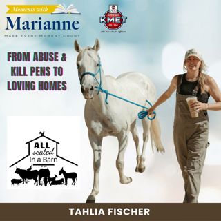 Saving Horses & Donkeys from the Kill Pens with Tahlia Fischer