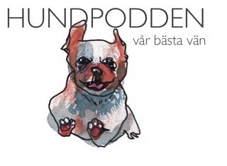 Frivillig hantering - Fear free training [Lyssnarfrågor]
