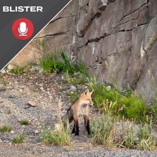 10 Quick Things: Blister Summit Location & Dates; Our Winter Buyer's Guide, & More
