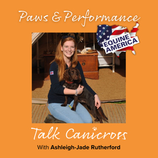 Paws and Performance