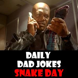 World Snake Day! 26 slithery dad jokes! 16 July 2026