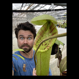 Nepenthes Tropical Pitcher Plants with Jeremiah Harris