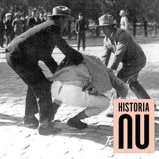 Det fascistiska hotet i Finland: finlandssvenskarna och striden mot extremismen
