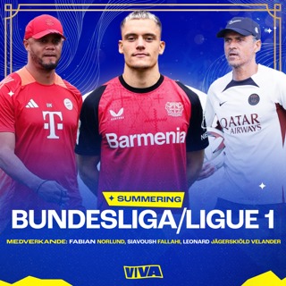 Bundesliga/Ligue 1 - Säsongssummeringen