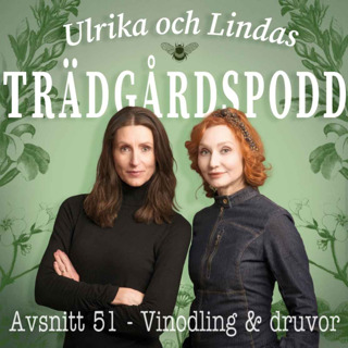 Avsnitt 51 - Vinodling och druvor (Lottenlund Estate)