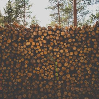 Skogsfredag Avsnitt 74 - 50 miljoner m3 gran borta sedan 2018 och är framtiden bulk?