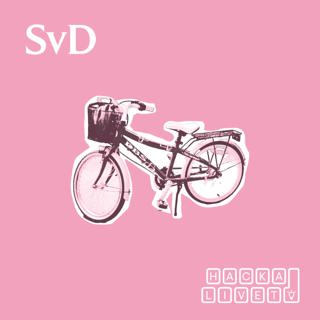 Smakprov: Så lär du dina barn att klara motgångar