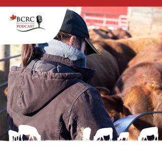 Episode 57: Protecting Your Investment: Bull Management