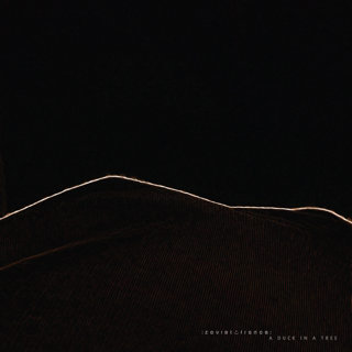 A Duck in a Tree 2025-10-11 | Between the Eternal Backdrop and the Reconciliation