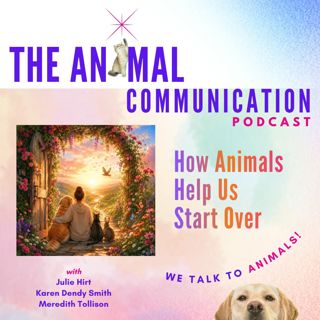 How Animals Help Us Start Over