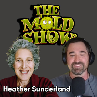 From Mold & Lyme to Healing: Finding the Root Cause of Chronic Illness