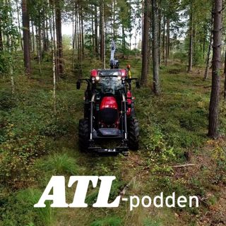Vi testar storsäljaren i skogen