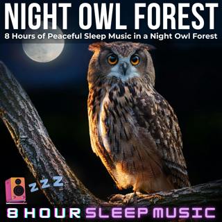 🦉 Night Owl Forest | 8 Hours of Relaxing Music in a Sleepy Owl Forest | Nature Sounds for Deep Sleep 💤