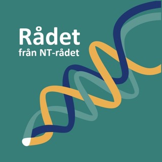 Upp till bevis! Om evidens och beprövad erfarenhet