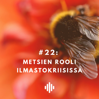 Metsien rooli ilmastokriisissä