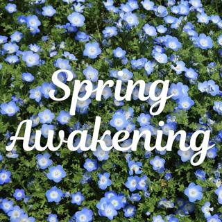 Spring Awakening - Sleep Music