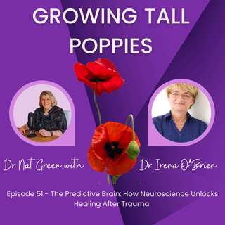 The Predictive Brain: How Neuroscience Unlocks Healing After Trauma
