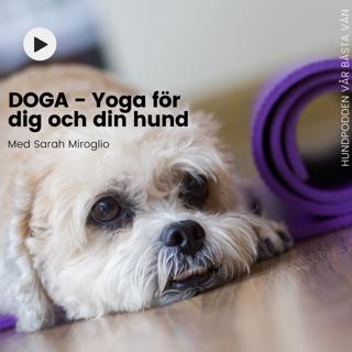 Doga - Yoga för dig och din hund