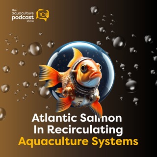 Atlantic Salmon In Recirculating Aquaculture Systems | Ep. 70
