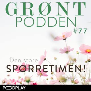 #77 Den store spørretimen