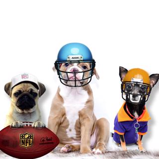 Puppy Bowl – Världens sötaste tävling
