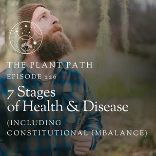 7 Stages of Health and Disease (Including Constitutional Imbalance)
