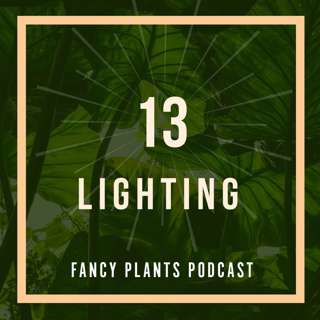 13. Lighting