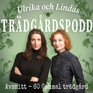 Avsnitt 60 - Gammal trädgård