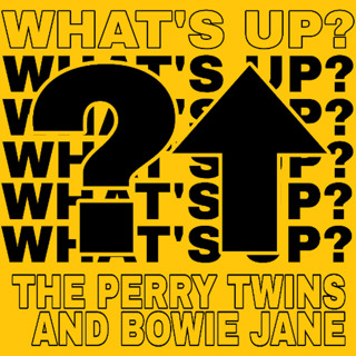 What's Up - The Perry Twins and Bowie Jane (Vocal Dub)