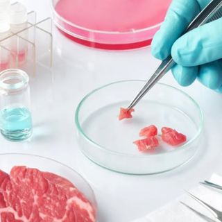 Lab Grown Meat & Climate Change: Saving the Planet or Controlling the People?
