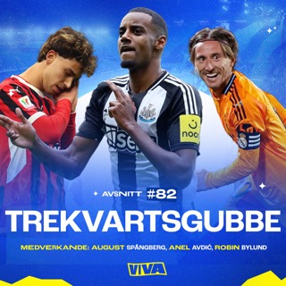 #82 - Trekvartsgubbe