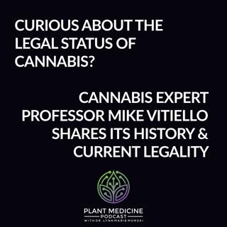 Cannabis History and Legality with Professor Mike Vitiello
