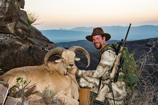 Hunting Aoudad: Poor Man's Desert Bighorn
