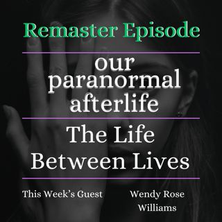 The Life Between Lives
