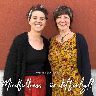 66. Mindfullness - är det farligt?
