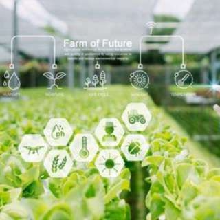 AI Trust Upgraded with Fact Checking, AI Video Translator Rewrites Multilingual Content, Bayer Drives AI Crop Breakthrough, AI Detects Real Time Fraud, and more...