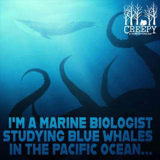 I'm a Marine Biologist Studying Blue Whales in the Pacific Ocean