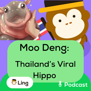 Lesson 142: Moo Deng: Thailand’s Viral Hippo and Thai Culture Fun