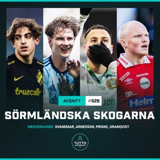 #526 Sörmländska skogarna